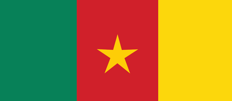 Copa do Mundo Camarões