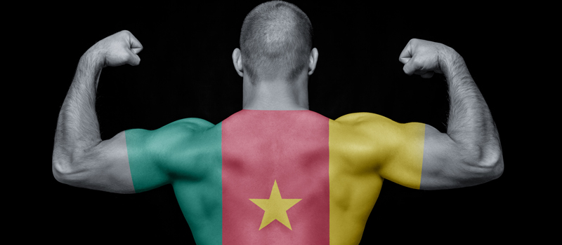 Seleção de Camarões força